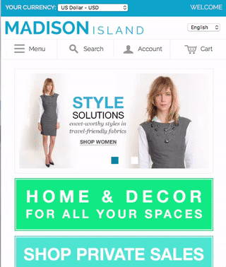 Text and Product Suggestions for Site Search
